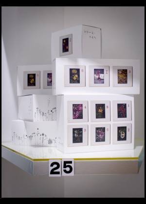 芸術の秋到来！アートに触れる「Made in ピエール・エルメ NEWoMan新宿」