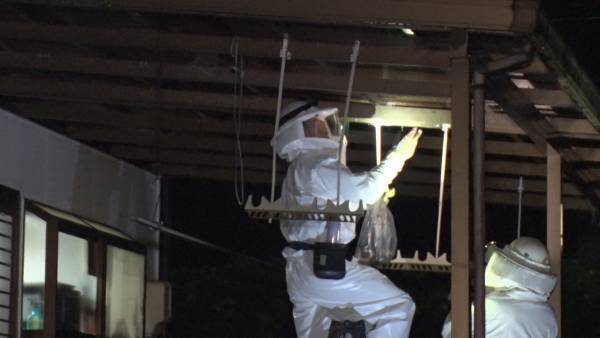 危険なハチの巣駆除に夫婦で挑む！&ldquo;夫婦ハチハンター&rdquo;に密着&hellip;9/12（日）BACKSTAGE（バックステージ）