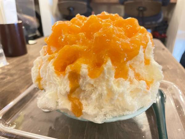 ジェラートみたいなかき氷! 超人気ふわふわかき氷ブームの先駆け!  祐天寺にリコッタが移転オープン!!