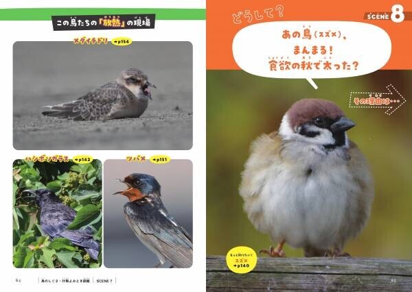 鳥たちの新たな魅力を発見できる！ 『鳥のしぐさ・行動よみとき図鑑』11月17日発売