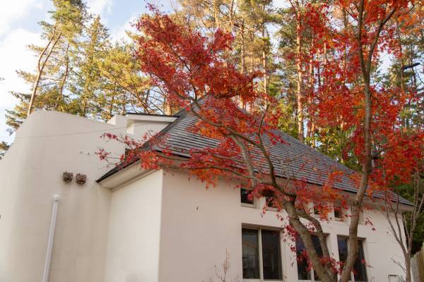 NYの有名店『ベンジャミンステーキハウス』が初のコラボ！ 河口湖で最上級のグランピング体験。