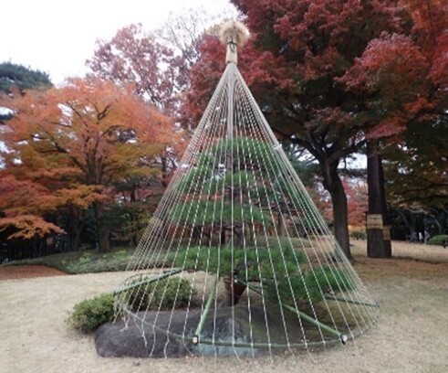 秋は庭園でゆっくり過ごしませんか？ 殿ヶ谷戸庭園の秋の催し