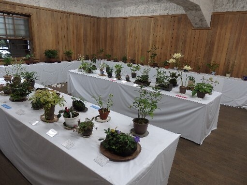 秋は庭園でゆっくり過ごしませんか？ 殿ヶ谷戸庭園の秋の催し