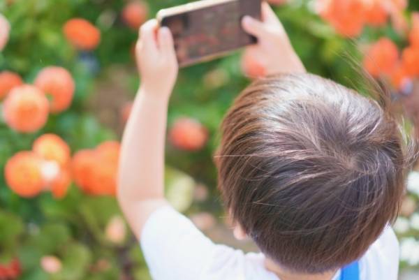 大温室夜間公開も…⁉「真夏の植物ワンダーランドin 神代植物公園」8月2日（火）~28日（日）開催決定‼