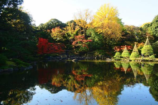 旧古河庭園「紅葉とバラ、和と洋の秋」11月12日（土）～12月4日（日）開催！