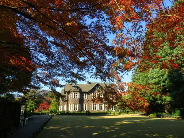 旧古河庭園「紅葉とバラ、和と洋の秋」11月12日（土）～12月4日（日）開催！