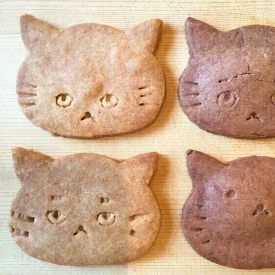 神奈川クッキー大集合！ニュウマン横浜2416MARKETにてクッキーパーティー開催！