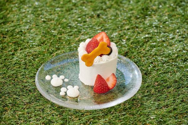 愛犬と一緒に楽しめる『”わんダフル・グランピング”アフタヌーンティー』開催！わんちゃんモチーフのキュートなスイーツ【東京・曙橋】