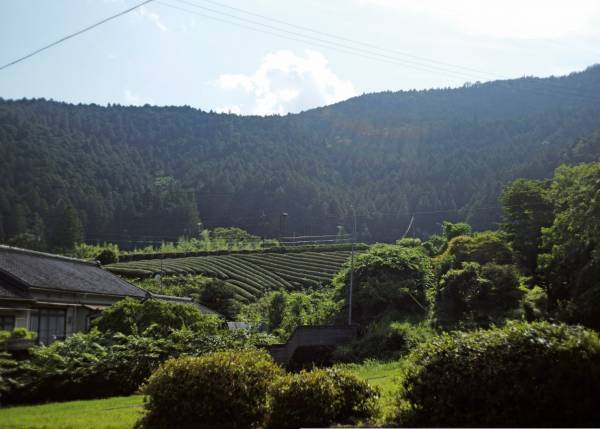 「人生100年時代」90代でも現役で毎日生き生きと働くお年寄り！『過疎の山里にいる 普通なのに普通じゃない すごい90代』10月12日発売！