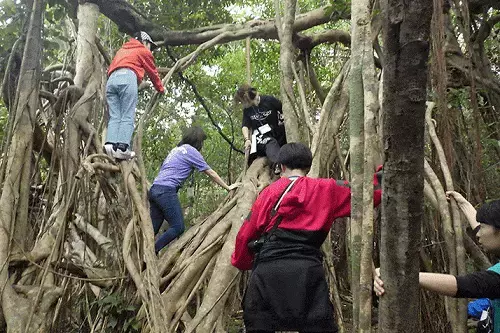 在籍生徒数10,000名到達 屋久島おおぞら高等学校