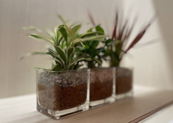 ロスなコトやモノをテーマにしたイベントにconokaが出店！！