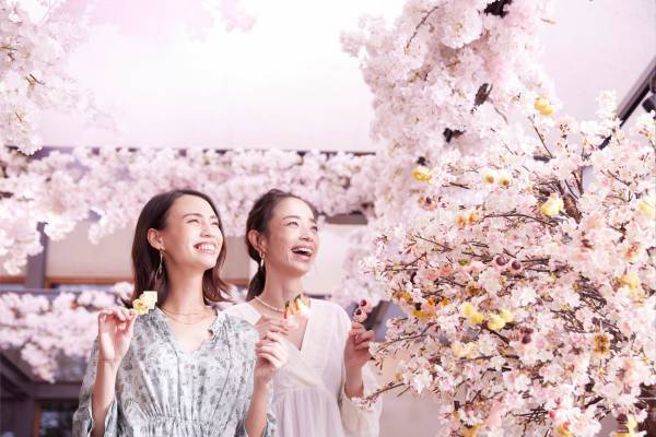 【トマム】「花見だけじゃない！お花見団子フェス」開催！北海道らしい食材などを組み合わせて100種のお団子をドリンクと一緒に堪能｜期間：2022年4月28日～5月31日