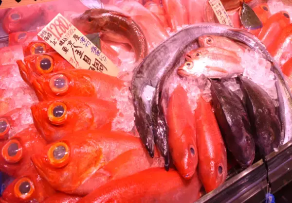 再開発が進む人気エリア“豊洲”に9月10日（土）「ライフ豊洲店」がグランドオープン！