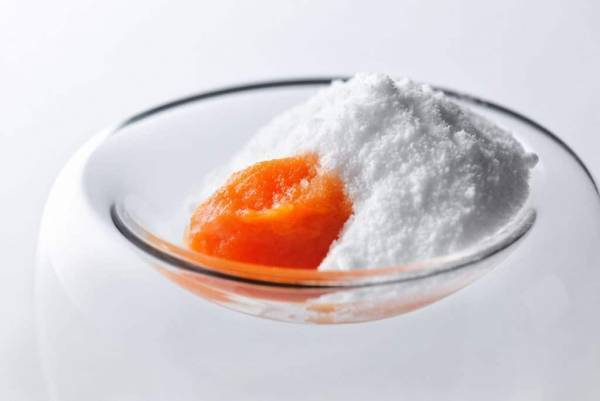 【奥入瀬渓流ホテル】フレンチレストラン「Sonore(ソノール)」で山菜、栗蟹、雪の下人参などの春の味覚を堪能できる期間限定メニューを提供｜期間：2022年4月15日～7月19日