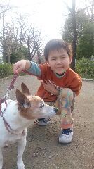 東白鬚公園にて無料「犬のしつけ方教室」6月19日に実施します
