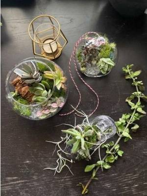 【西武池袋本店】5月25日（水）から『花のある暮らしマルシェ』を初開催！