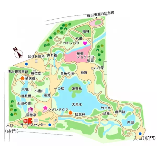 小石川後楽園　蓮の花の見ごろに合わせた夏の早朝開園
