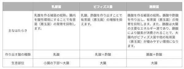 百寿者の、腸内フローラの秘密に迫る！「酪酸産生菌」がカギ
