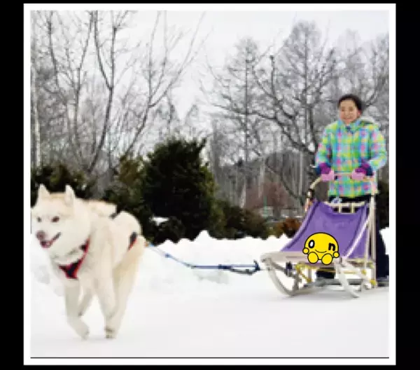 【22.2.3更新】onちゃん25周年記念「onちゃんウィンターパーク in コポロパ」ブランチ札幌月寒で2月19日(土)・20日(日)開催！雪像コンテストや犬ゾリ体験、カーリングetc…onちゃんと一緒に冬を楽しもう！
