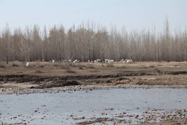 日本製カシミヤストールブランド【TSUKISOU】より2022年秋冬シーズン新色のご紹介 -MOONBAT-