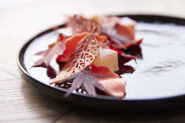 【奥入瀬渓流ホテル】錦秋の奥入瀬渓流でせせらぎと紅葉を堪能できる「渓流紅葉ラウンジ」誕生｜期間：2022年10月1日～11月7日