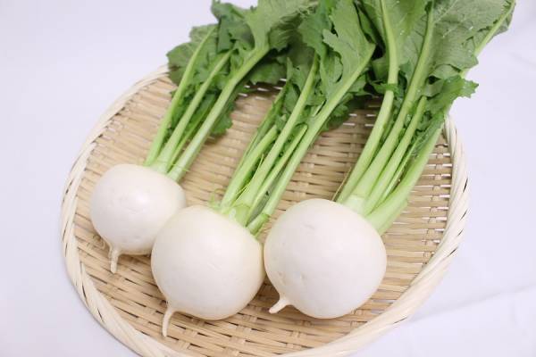 青森を代表するブランド！「野辺地葉つきこかぶ」が 産地直送通販サイト「ＪＡタウン」で販売開始！