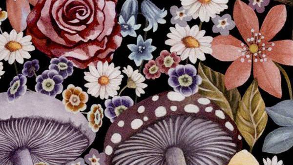 nuage(ニュアージュ)×LIBERTY FABRICS（リバティ・ファブリックス）春のプリント帽子新作ご紹介【MOONBAT】