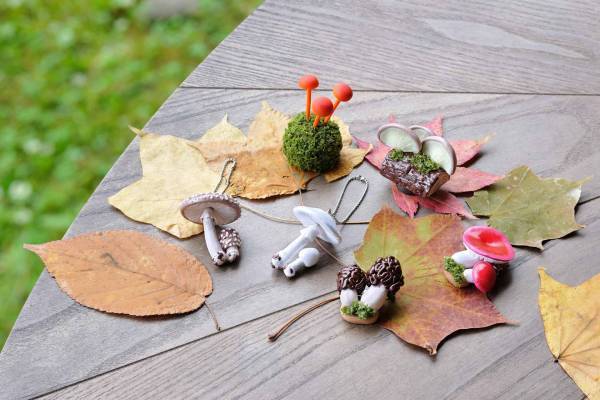 【奥入瀬渓流ホテル】～2週間限定で「夜の毒きのこさんぽ」が新登場～敬遠されがちな毒きのこを楽しく観察する 「毒きのこさんぽ」今年も実施｜期間：2022年9月1日〜10月9日