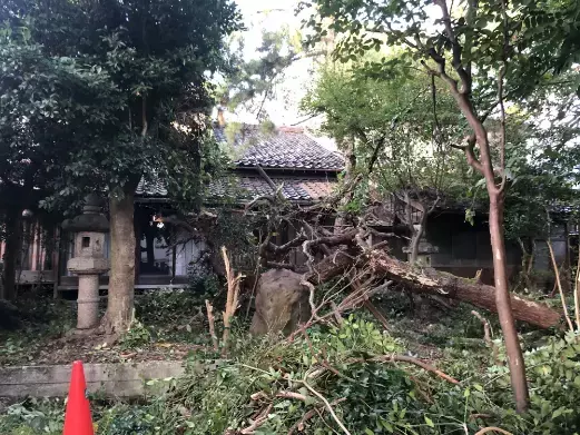 日本のベニス　射水市の古民家をバリアフリー宿へ