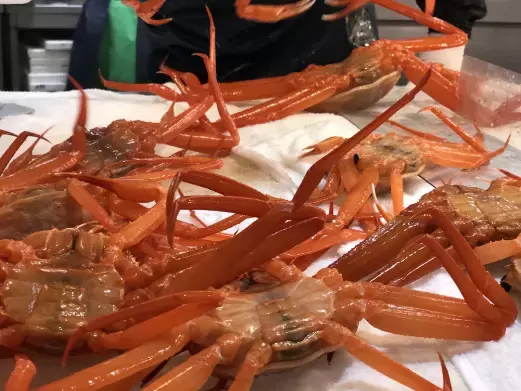 日本のベニス　射水市の古民家をバリアフリー宿へ