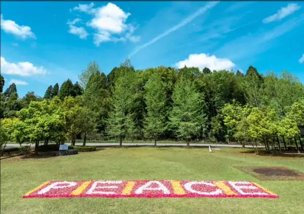【5月6日(金)9:00〜15:30】チューリップの花摘みをしてフラワーカーペットを作ろう！砺波チューリップ公園＆富山城址公園　開催！