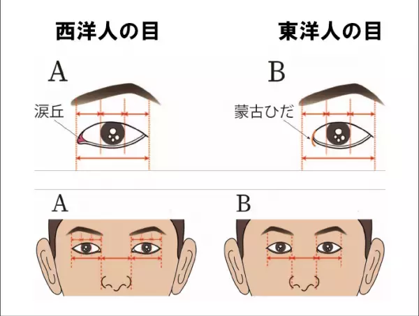 特許取得の『顔分析カウンセリング』と『パーソナルメイクアップ』を専門にしたメイクレッスンを東京板橋区にてサービス開始