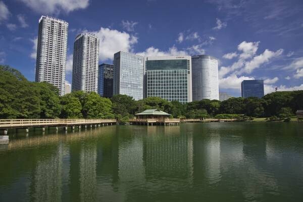 ついに浜離宮恩賜庭園のアオノリュウゼツランの開花が確認されました‼夏休みのお出かけにレアなお花を見にきませんか？