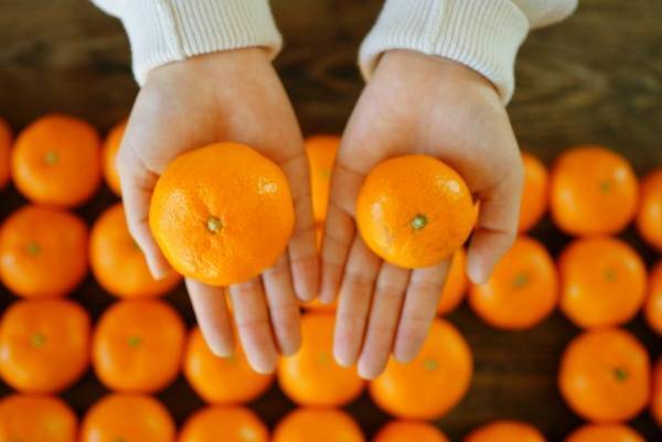 ＼2022年はこれが売れた！／たびふくで人気のお取り寄せグルメとは？！BEST10を発表！【旅する久世福e商店】