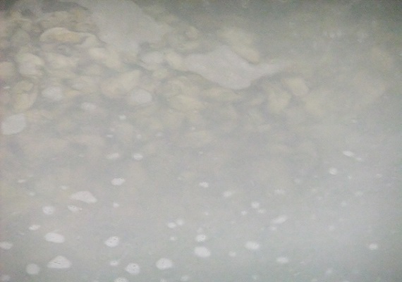 【ミネラル不足の現代人に】牡蠣抽出サプリメント「Sea Well 60粒入り」便利なアルミ袋タイプで6月9日に新発売！