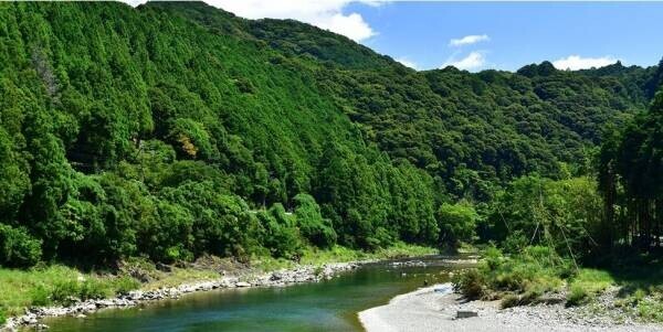 地方自治体キャンペーン期間延長！9月末日までの割引施策を活用してお得に行く、大江戸温泉物語「兵庫」「和歌山」「三重」、３つの宿でたのしむ秋のまんぞくバイキング