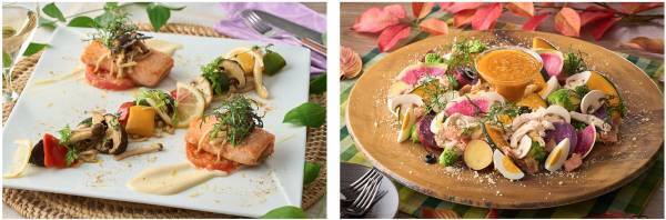 地方自治体キャンペーン期間延長！9月末日までの割引施策を活用してお得に行く、大江戸温泉物語「兵庫」「和歌山」「三重」、３つの宿でたのしむ秋のまんぞくバイキング