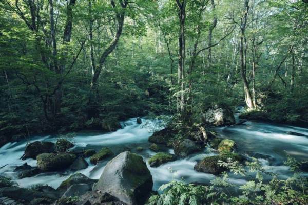 【奥入瀬渓流ホテル】「渓流と過ごす、ごほうび。」をテーマにしたラグジュアリーな客室「渓流スイートルーム」誕生