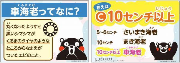 熊本県・天草産 車海老を釣った分だけ食べる贅沢。大江戸温泉物語 天草ホテル亀屋の期間限定宿泊プラン【車海老が釣り放題！夕食で踊り食いor 串焼きプラン】が今年も登場！