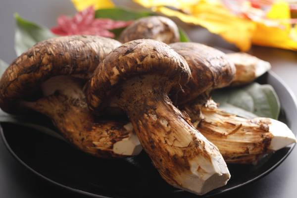 芳醇な秋の味覚『松茸』を思う存分堪能！『松茸三昧懐石プラン』を9月15日から販売開始｜奈良・門前宿 和空法隆寺