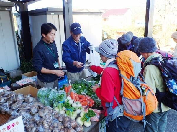 小峰公園で秋の収穫市を開催。地元の新鮮野菜をご用意してお待ちしております。