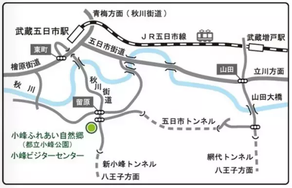 小峰公園で秋の収穫市を開催。地元の新鮮野菜をご用意してお待ちしております。