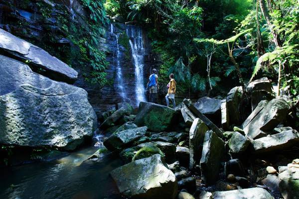 【西表島ホテル】社会人になる前に体験したい「世界遺産 イリオモテ卒旅」販売 ～西表島の秘境に繰り出し、仲間と一緒に忘れられない最高の思い出作り～｜期間：2023年2月6日～3月31日