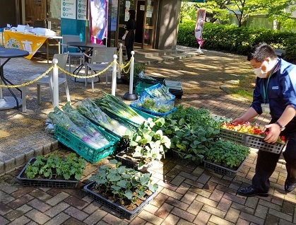 6/25（土）砧公園・代々木公園　大好評のJA東京中央による地場野菜の販売を行います