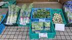 6/25（土）砧公園・代々木公園　大好評のJA東京中央による地場野菜の販売を行います
