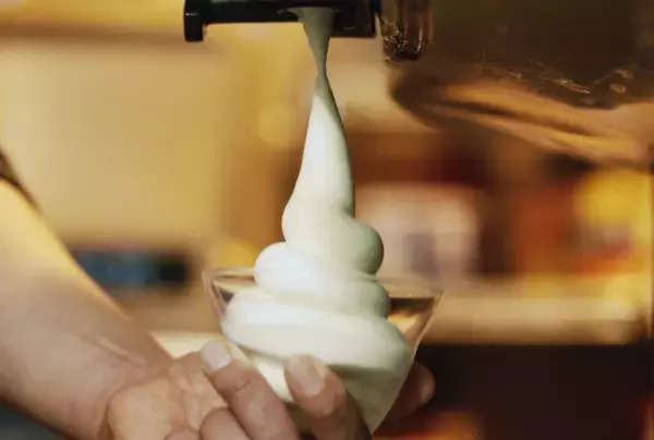 腸活にぴったり！信州フローズンヨーグルト店『フロスタ』 戸倉上山田温泉街での開店に向けてクラウドファンディング開始