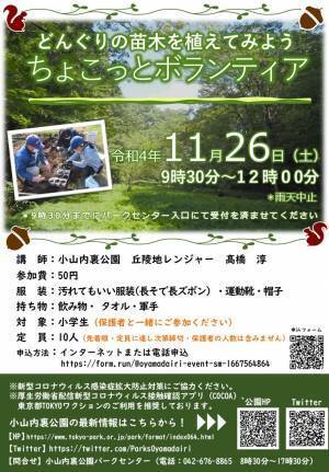 ※11/25更新※　11/26（土）小山内裏公園【どんぐりの苗木を植えてみよう！ちょこっとボランティア】