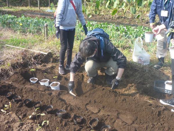 ※11/25更新※　11/26（土）小山内裏公園【どんぐりの苗木を植えてみよう！ちょこっとボランティア】