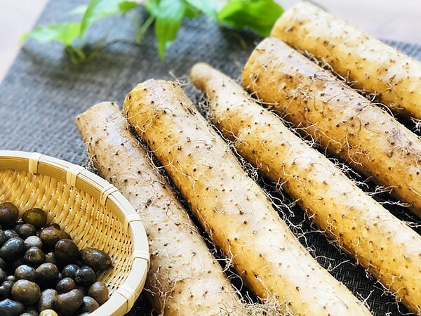 しゅうなんは、じゅうなんだ。山口県周南市「第18回ふるさと回帰フェア2022」に出展します。