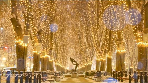 温泉宿を拠点に楽しむ冬の夜空を彩る【イルミネーション＆ライトアップ情報】、キュレーションサイトを大江戸温泉物語が公開